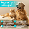Calming Oil for Dogs Natural Anxiety and Stress Relief Pet Relaxation Aid